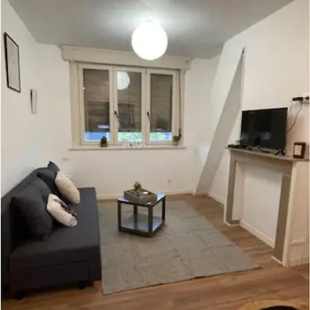 Studio Cosy Saint-omer Apartament